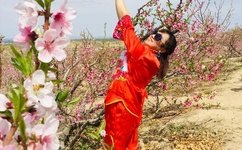 黑人大战欧美白人孕妇